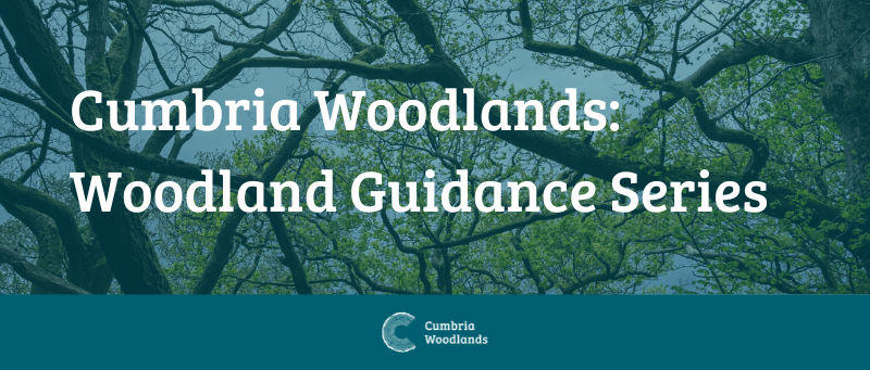 Cumbria Woodlands: Woodland Guidance Series CW016