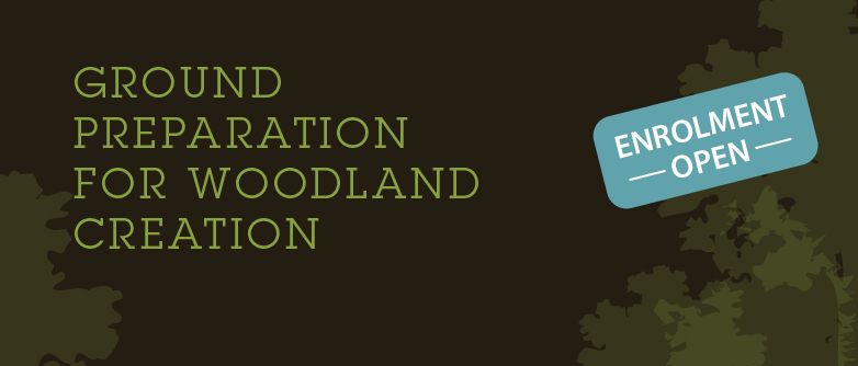 Ground Preparation for Woodland Creation CW018